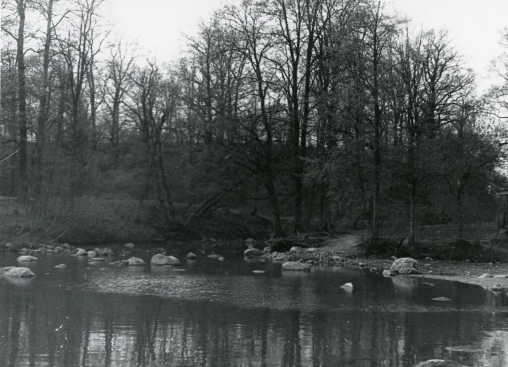 Piliakalnis. Skuodo rajonas. Skuodo apylinkė. Puodkalių kaimas