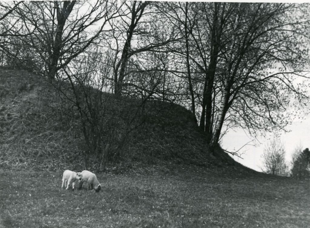 Piliakalnis. Skuodo rajonas. Skuodo apylinkė. Puodkalių kaimas 