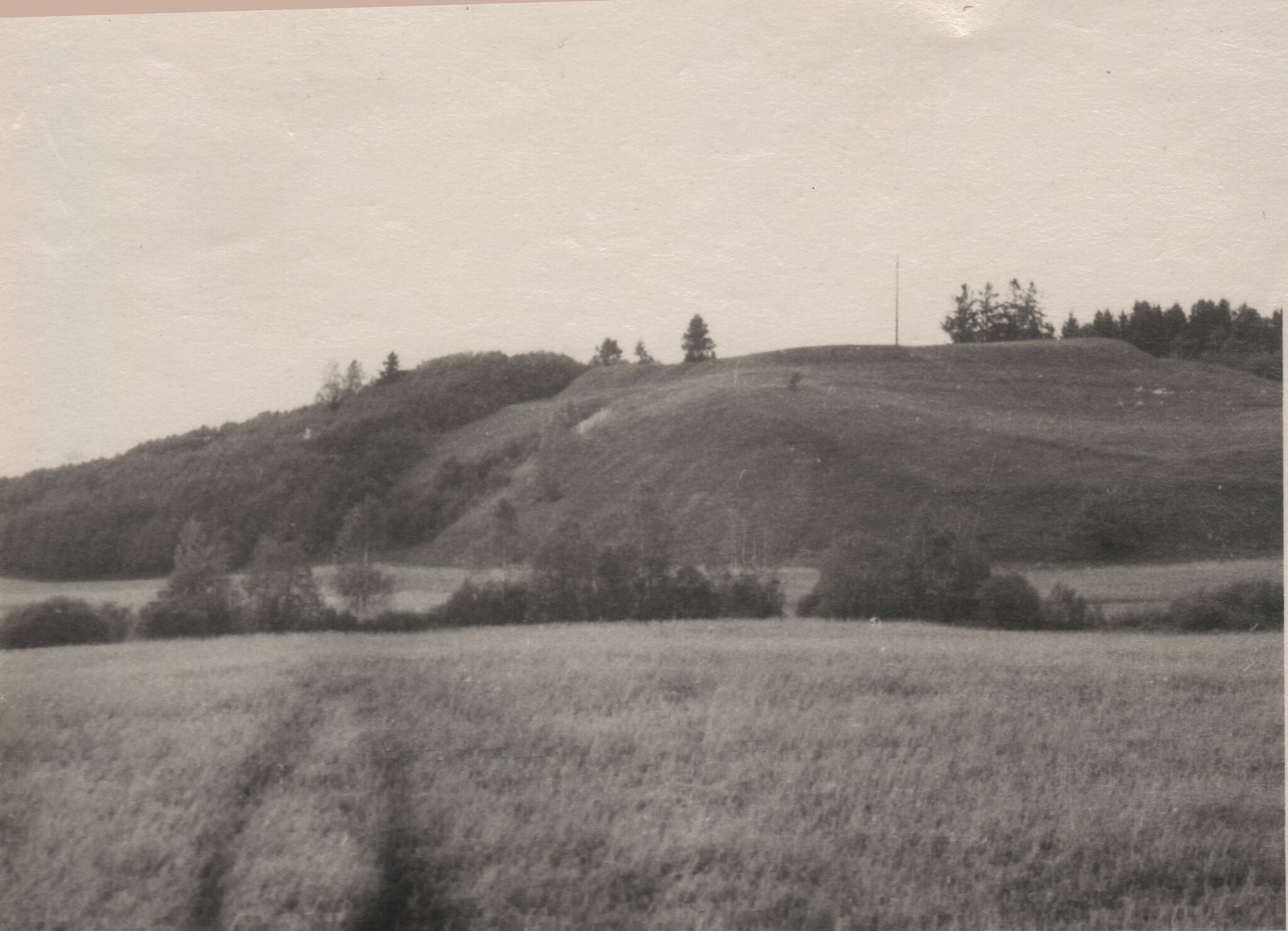 Piliakalnis "Švedų batarėja" Pakalnių k. ( Utenos r. ) 1962 m.