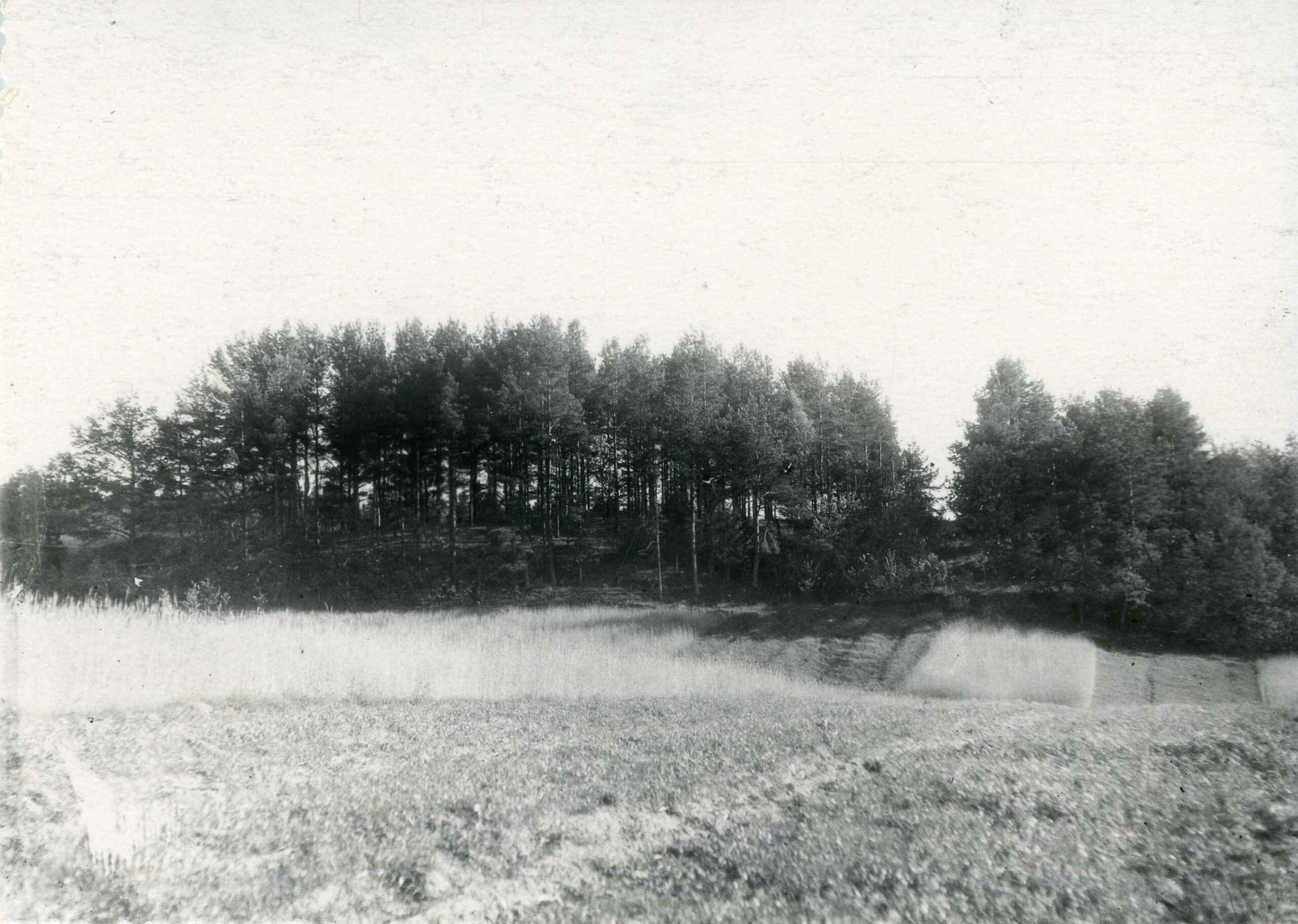 Pilkapis, vadinamas "Mogilniku". Jiezno apskritis. Nikronių apylinkė. Nikronių kaimas 