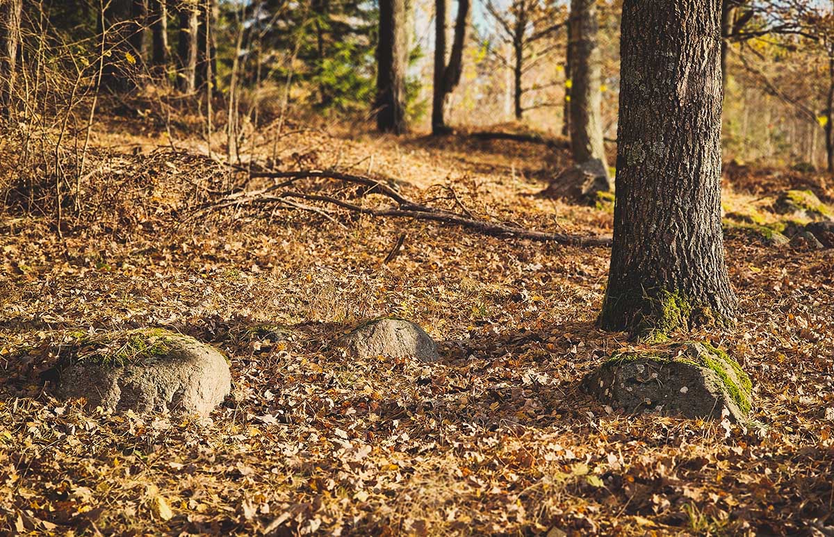 Nikronių senkapis