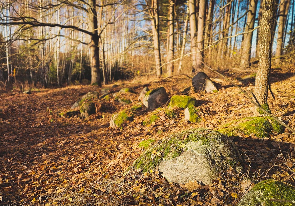 Nikronių senkapis