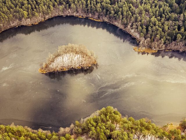 Didžiųjų Gulbinų piliakalnis