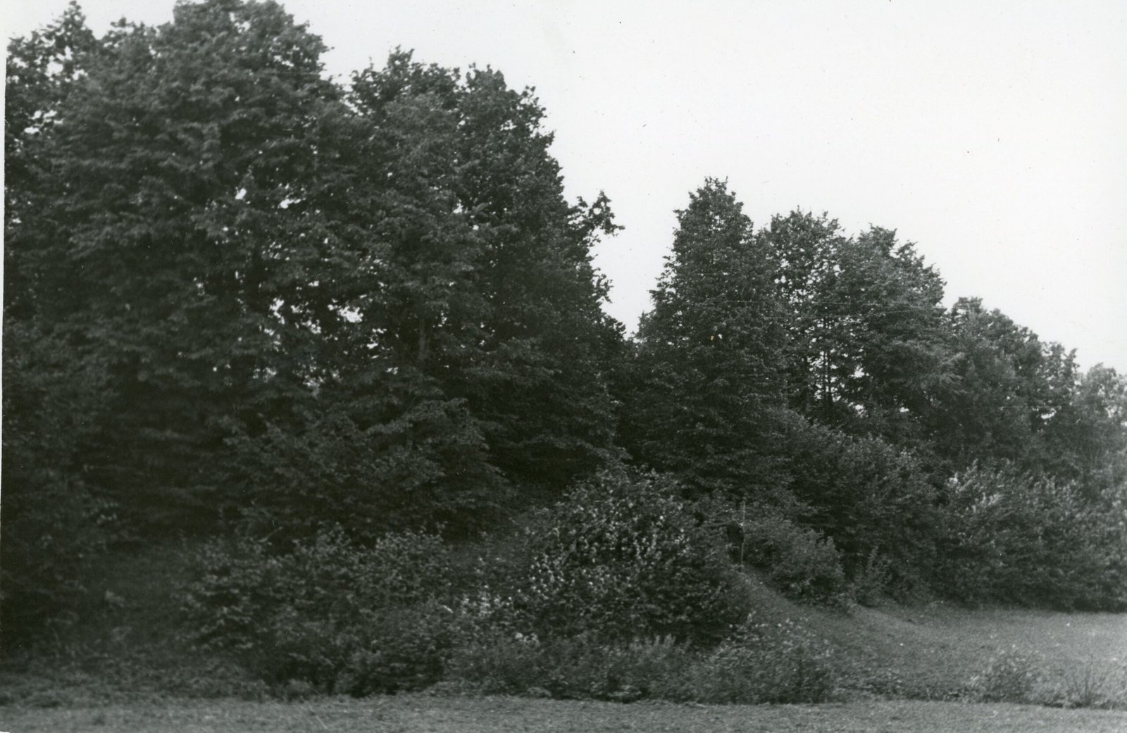 "Pilale." (Piliakalnis). Tauragės apskritis. Švėkšnos apylinkė. Paulaičių kaimas