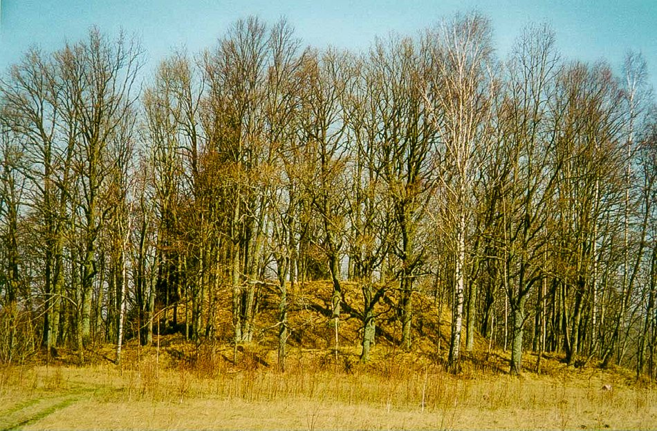 Šiūparių piliakalnis