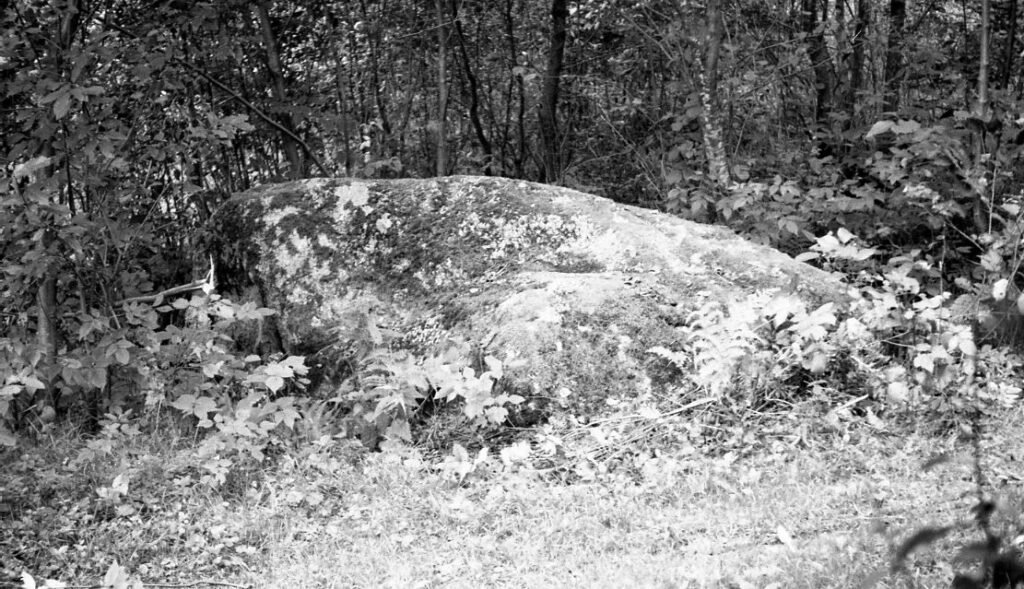 Akmuo, vadinamas "Geležine boba." Molėtų rajonas. Čiulėnų apylinkė. Levaniškių kaimas