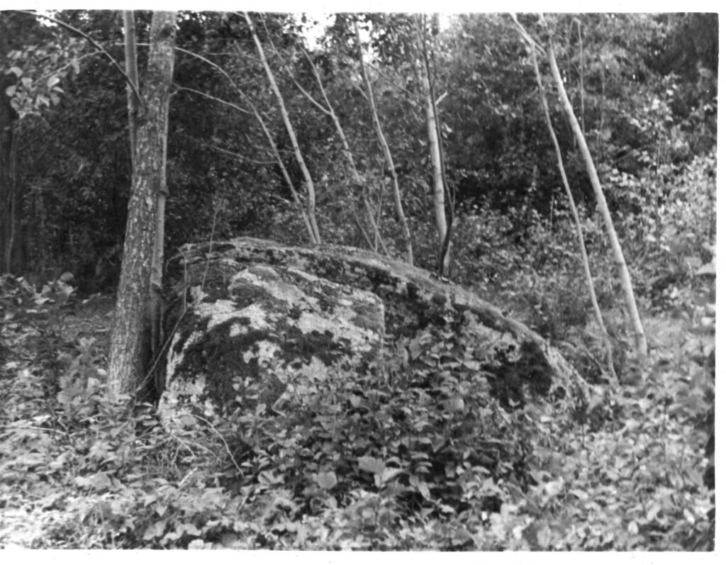 Akmuo, vadinamas "Geležine boba." Molėtų rajonas. Antadurių apylinkė. Levaniškių kaimas