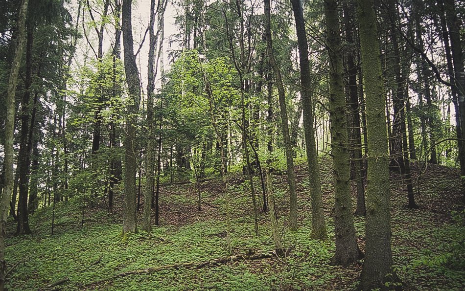 Lekių piliakalnis – senovės sargybos kalnas