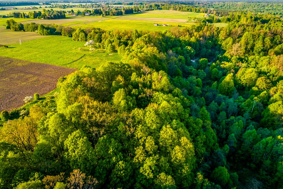 Mockaičių piliakalnis – senolių atminties vieta