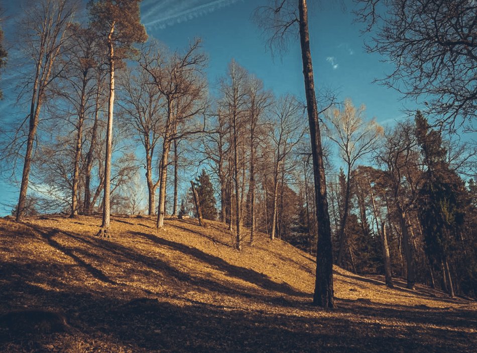 Strėvos piliakalnis