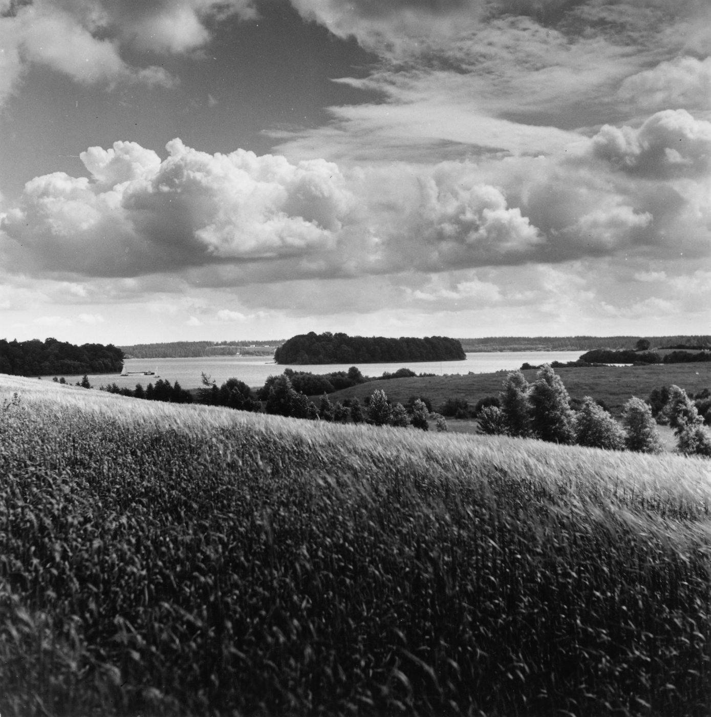 Platelių ežeras