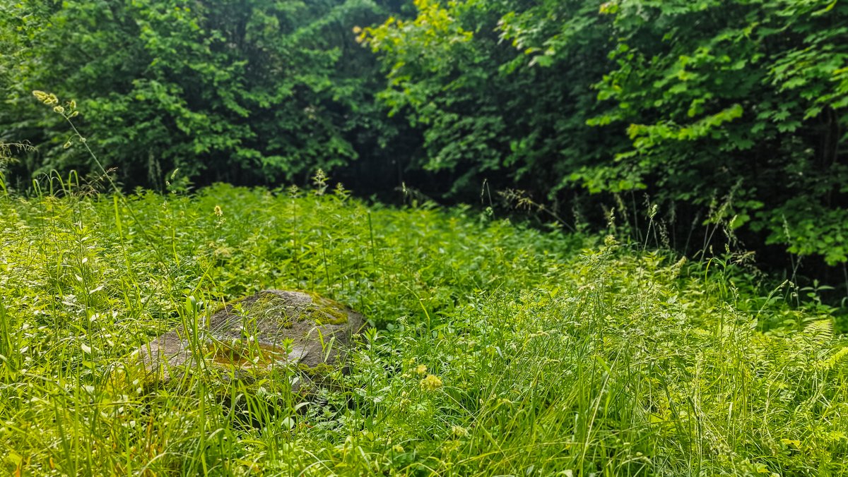 Šio akmens įduboje susirinkęs vanduo buvo
laikomas turinčiu gydomujų savybių. Vaikai ir suaugusieji gydėsi odos ligas.
