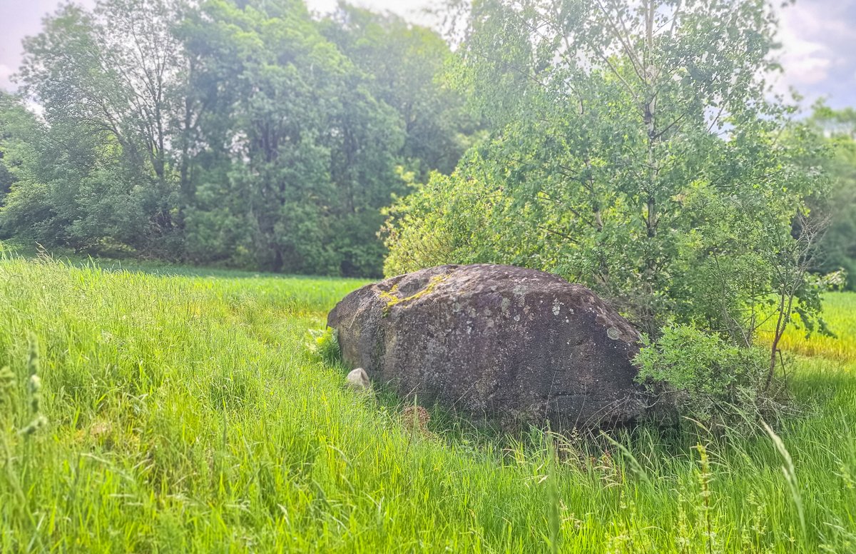 Bareikos akmuo