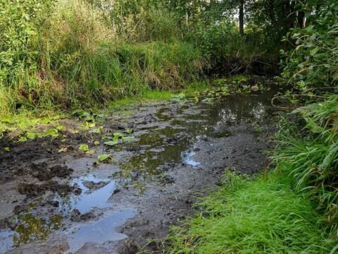 Sietuvos kūlgrinda – akmeninis kelias per pelkes