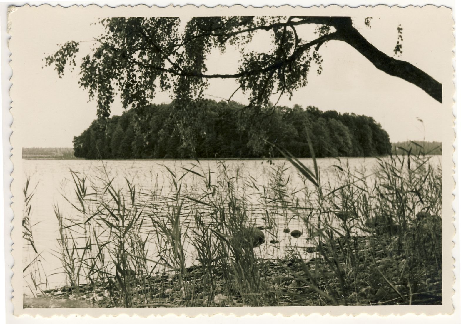 Platelių ežero panorama