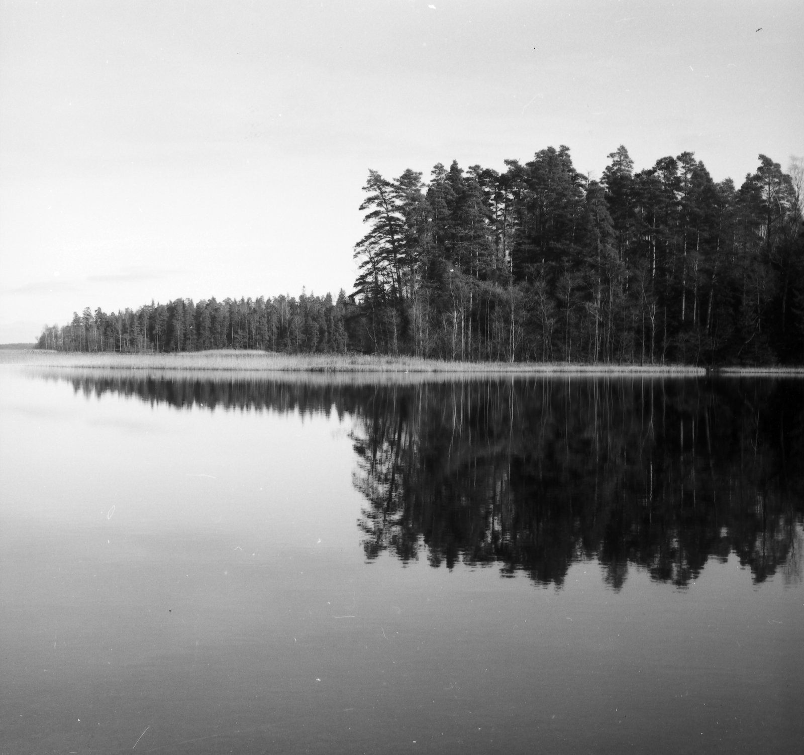 Prie Platelių ežero