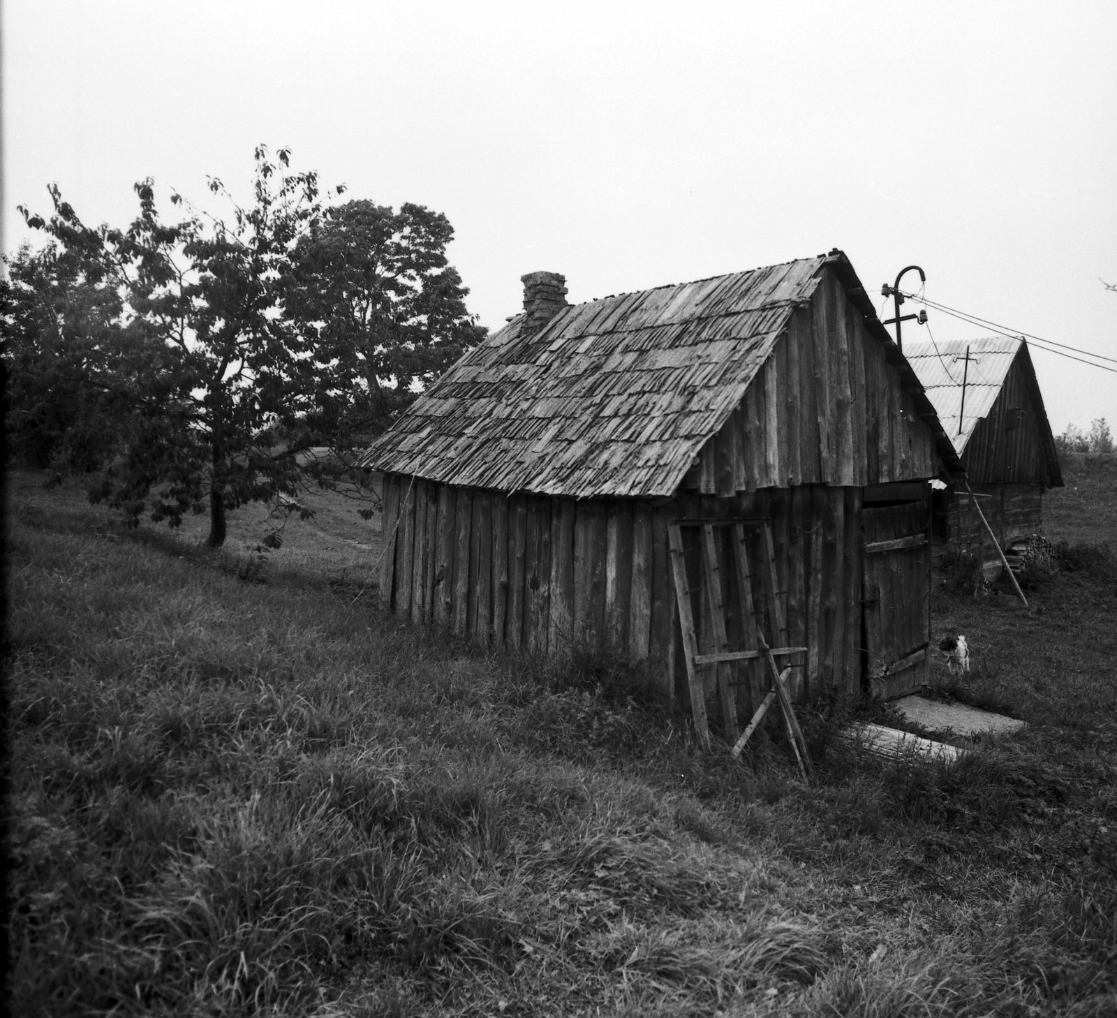 Platelių apylinkėse