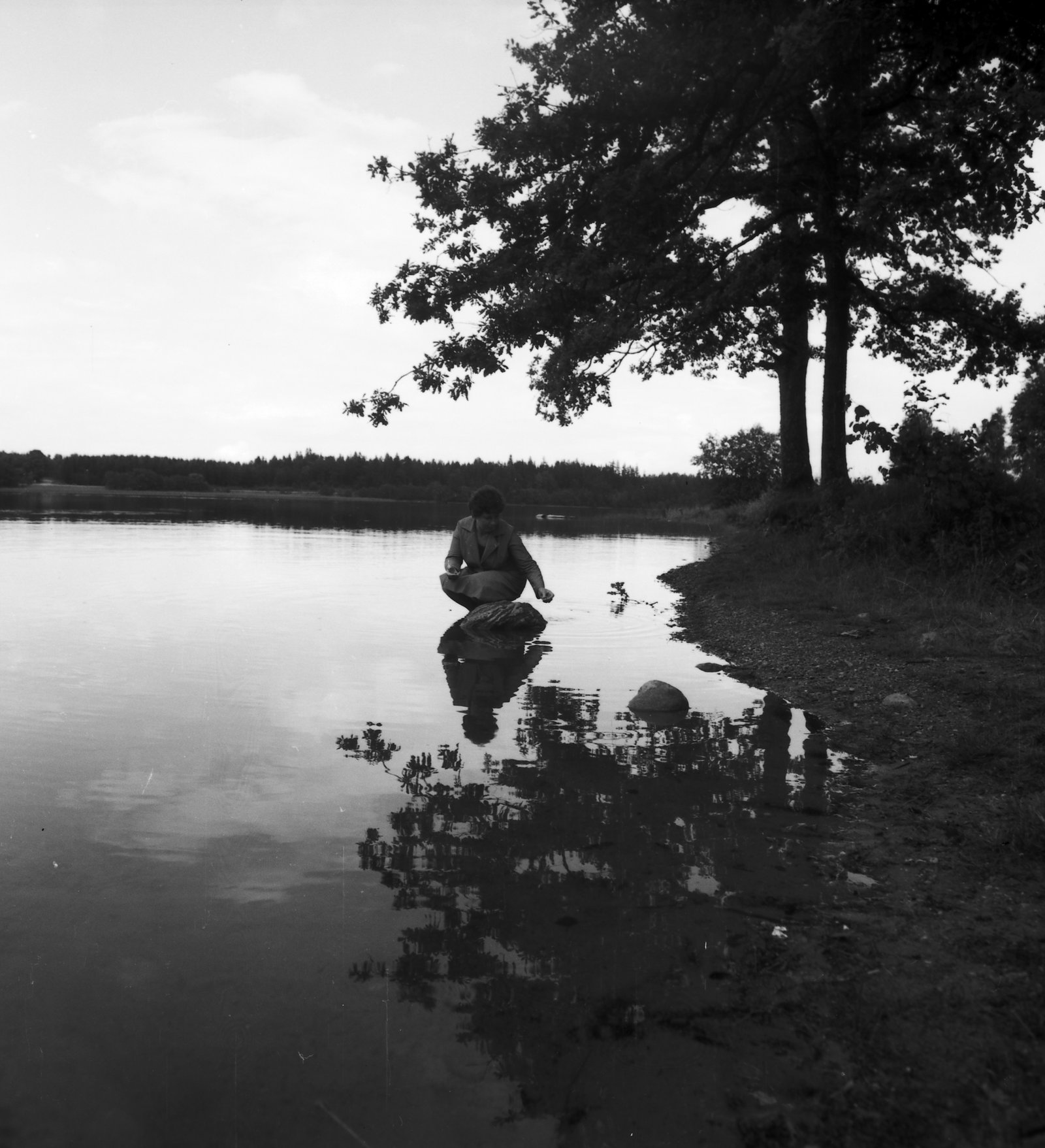 Platelių apylinkėse