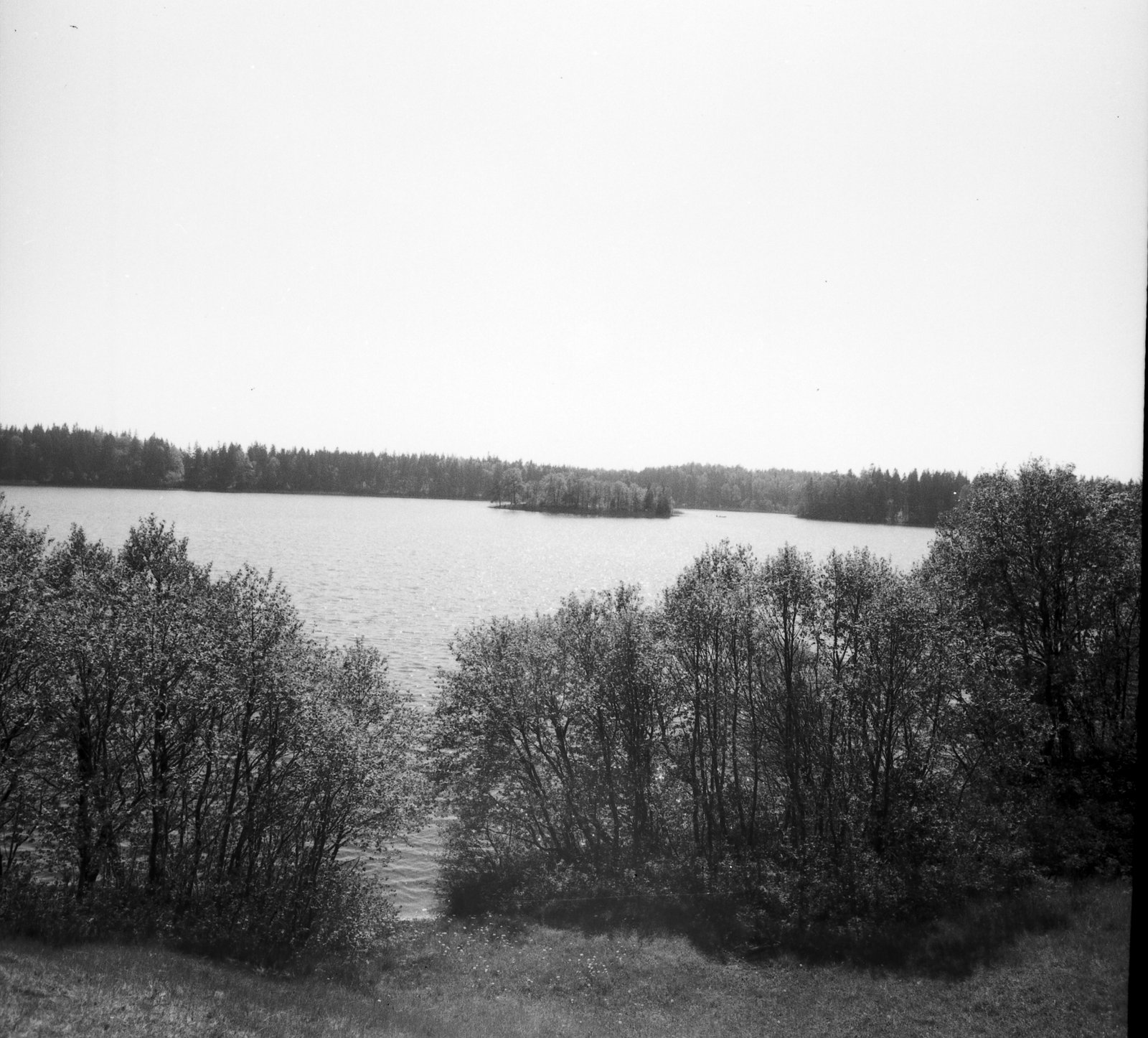 Platelių ežeras