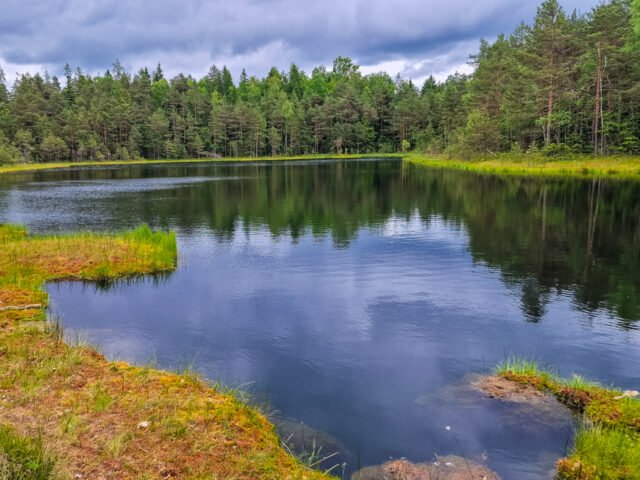 Piktežeris – ežeras, prarijęs karalienę