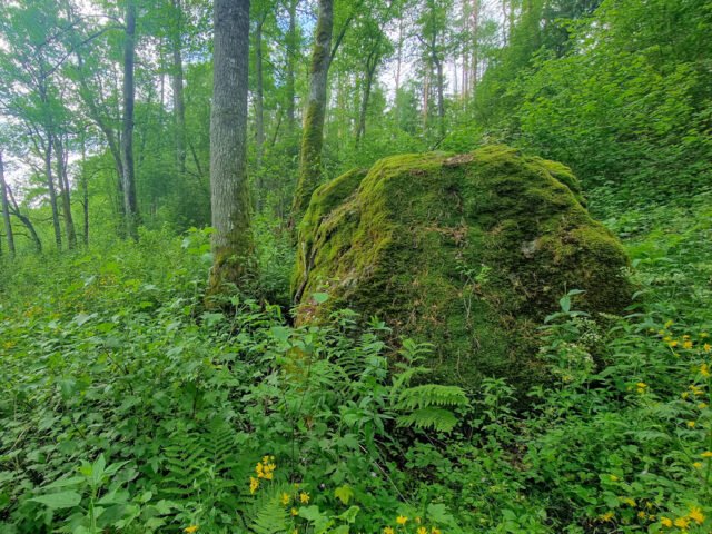 Ūlostakos akmuo – slėptuvė nuo vilkų ir kasdienių rūpesčių