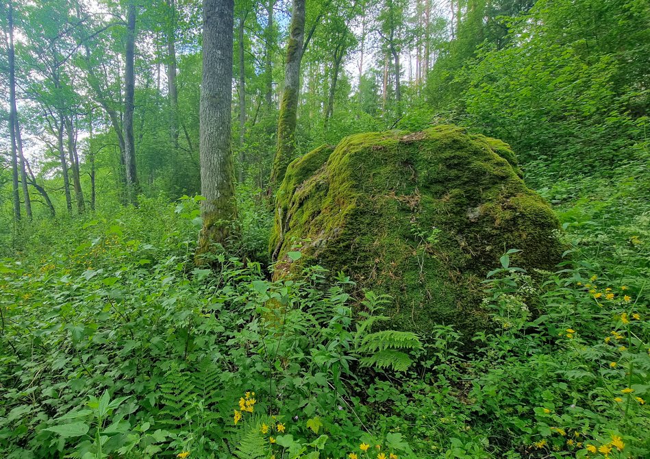 Ūlostakos akmuo