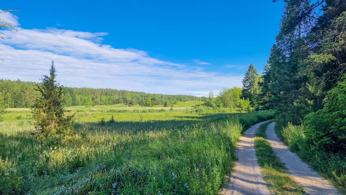 Kelias, vedantis palei pievą