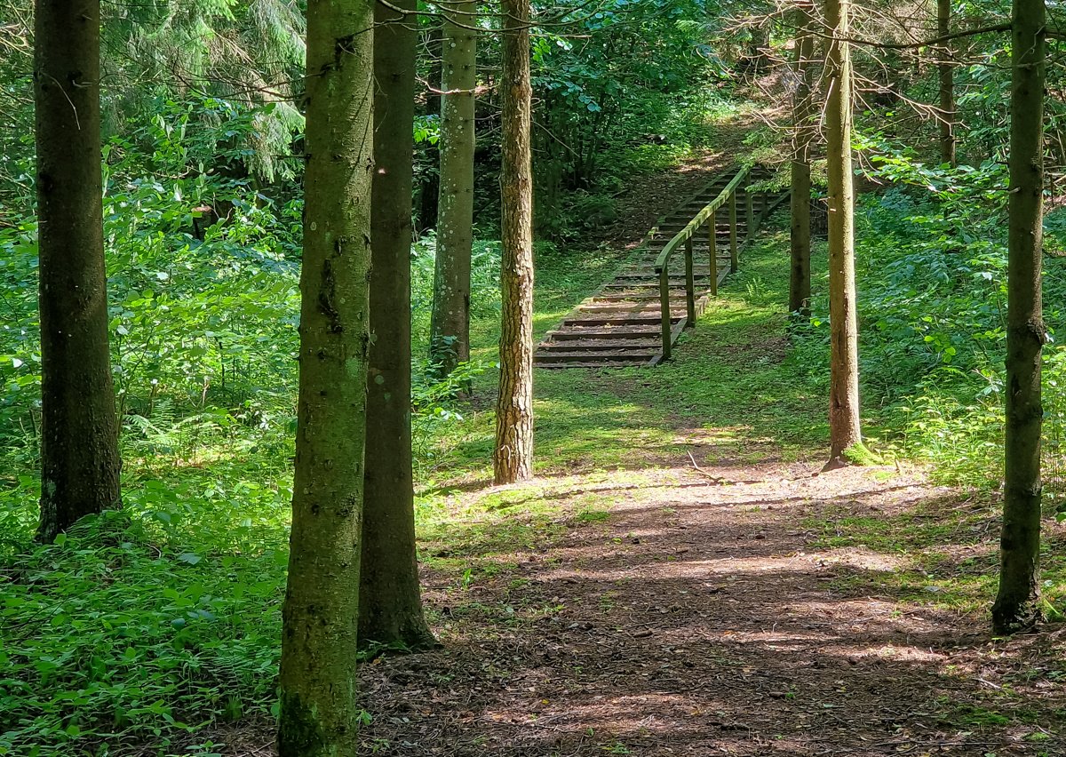 Į kalvą vedantys laiptai