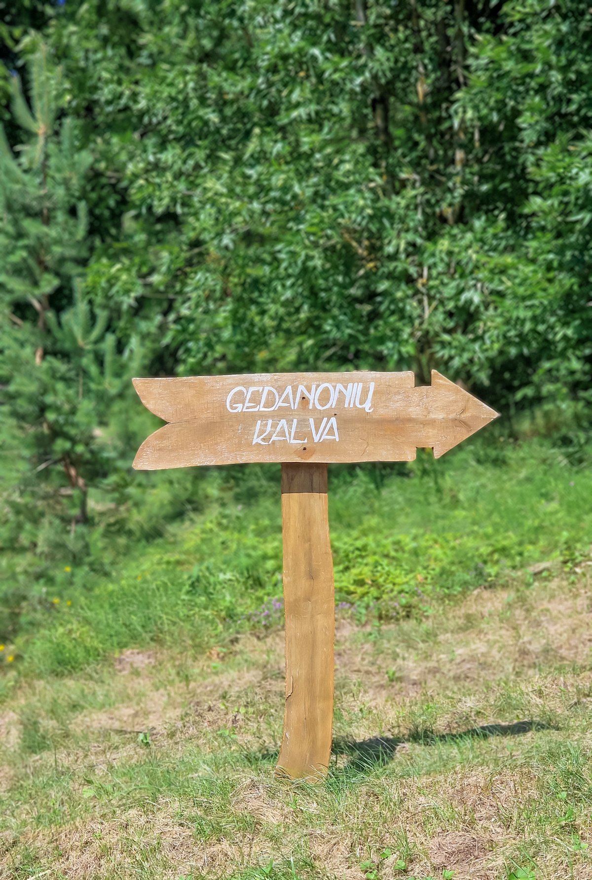 Gedanonių kalva