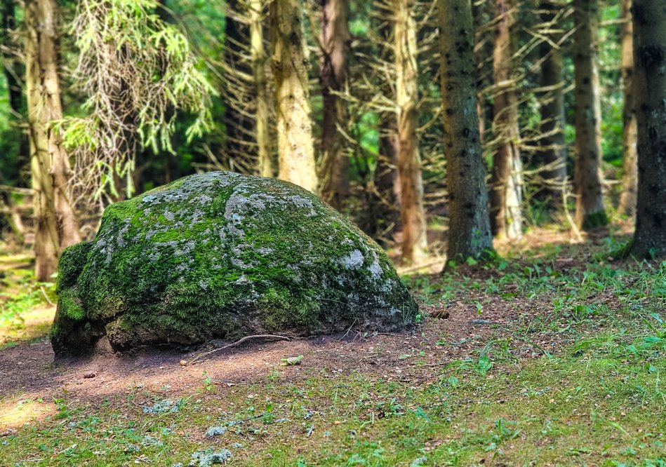 Mergiškių alko akmenys