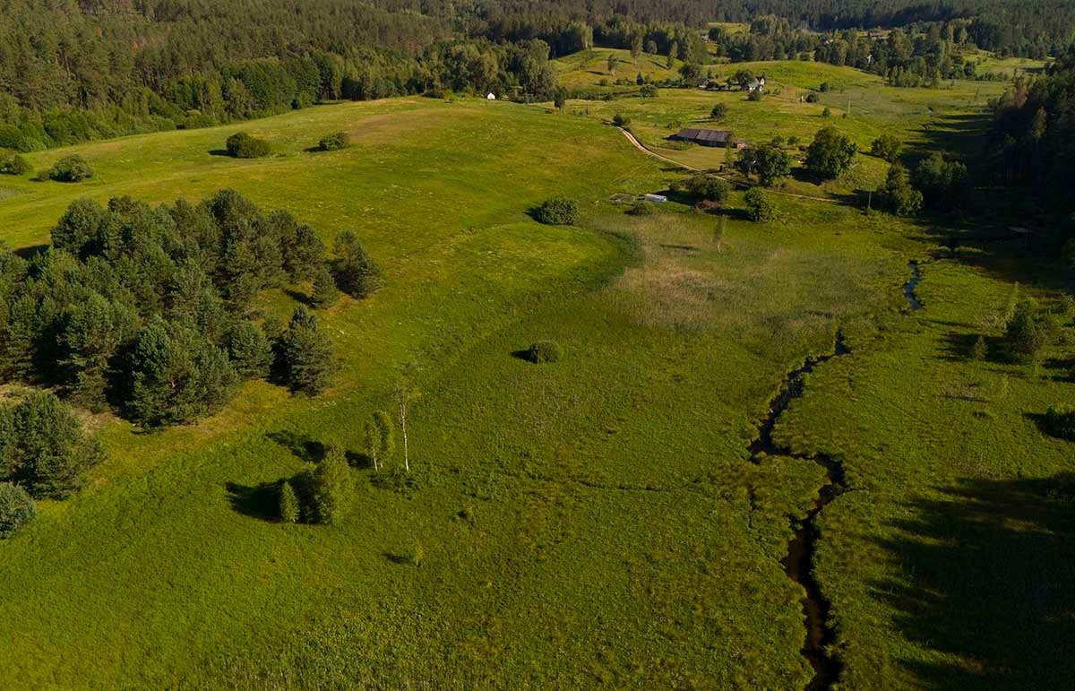 Skroblaus upelis vingiuojantis per užpelkėjusia pievą