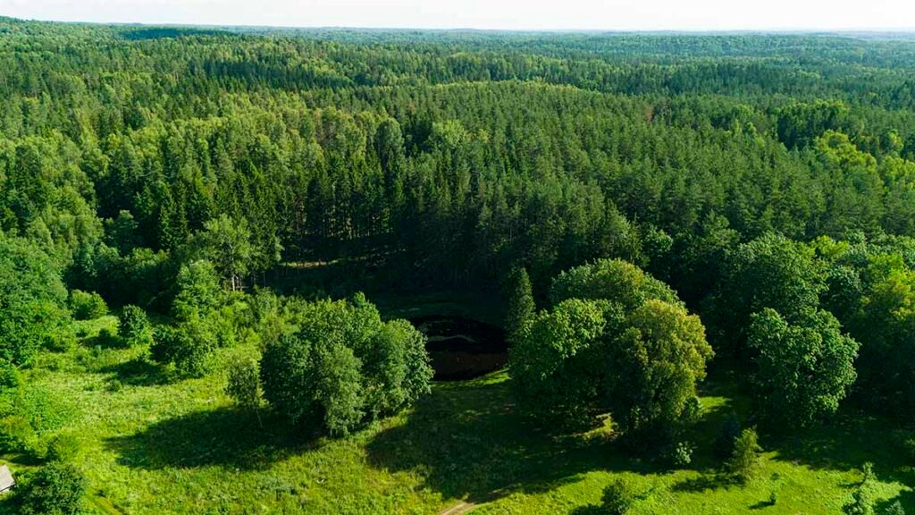 Albinavos duobė ir apylinkių panorama