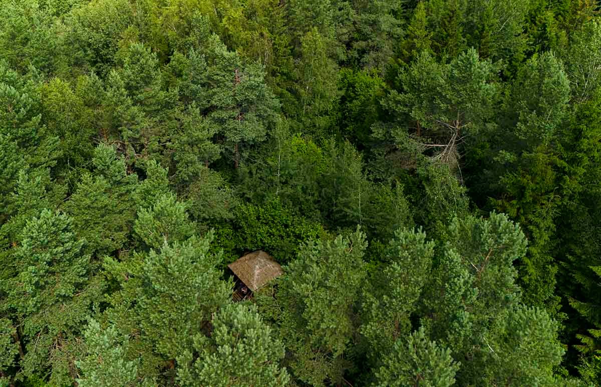 Miškuose pasislėpusi kalva