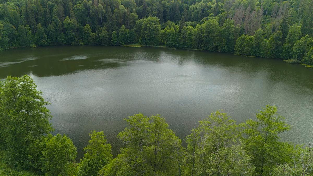 Didesnysis ežeras