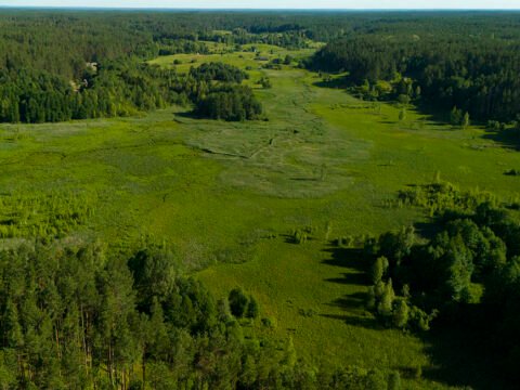 Skerdzimų pieva – Kapiniškių žalioji šventovė