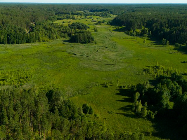 Skerdzimų pieva – Kapiniškių žalioji šventovė
