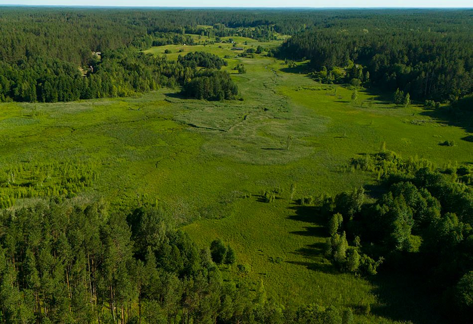 Skerdzimų pieva