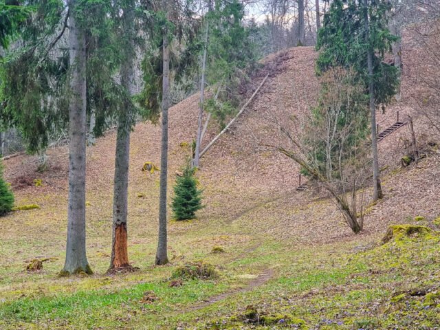 Naujasodžio (Mošos) piliakalnis – gyvenvietė prie Mošos