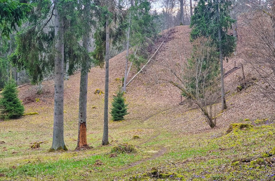 Naujasodžio (Mošos) piliakalnis – gyvenvietė prie Mošos