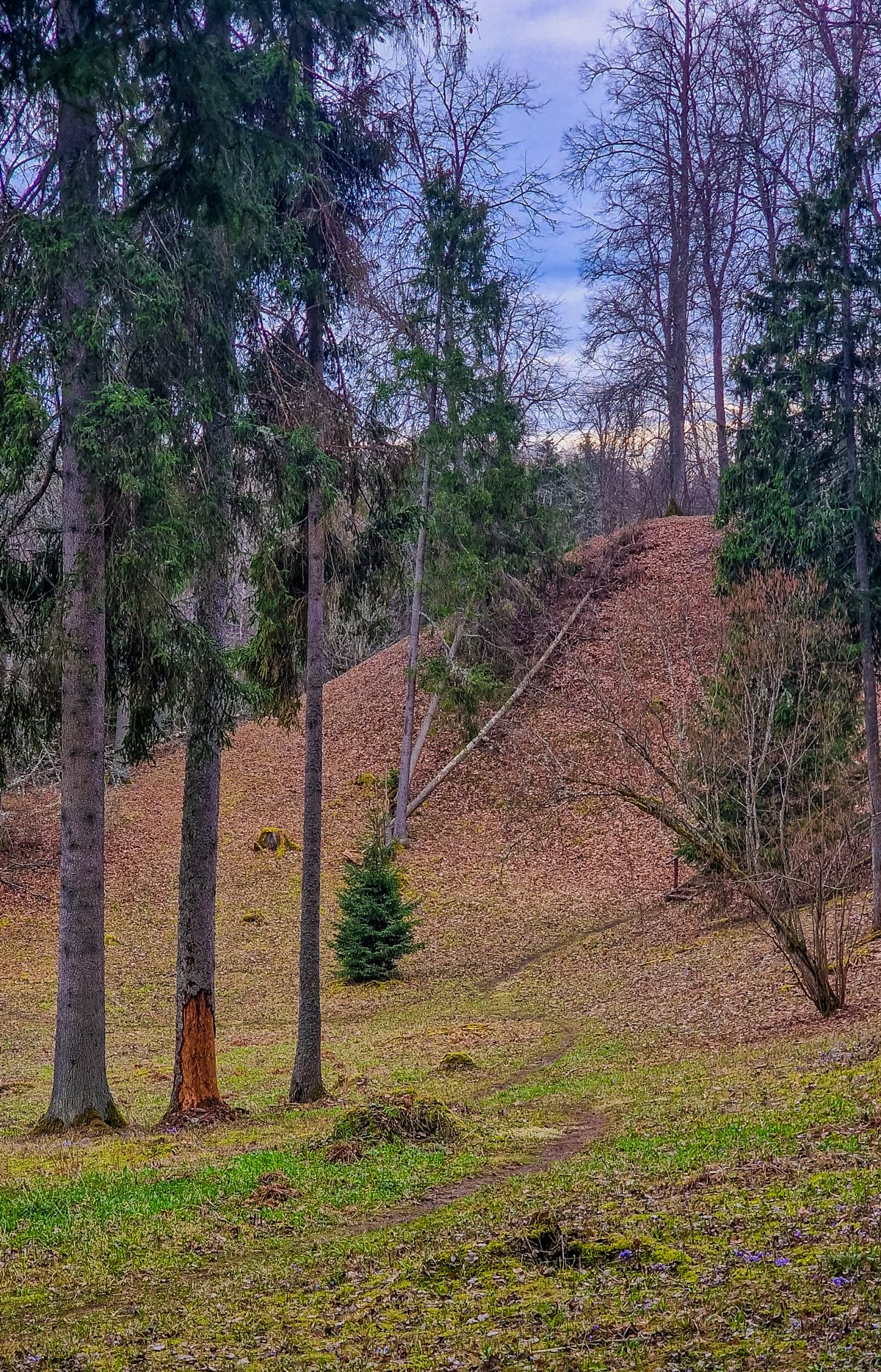 Naujasodžio (Mošos) piliakalnis