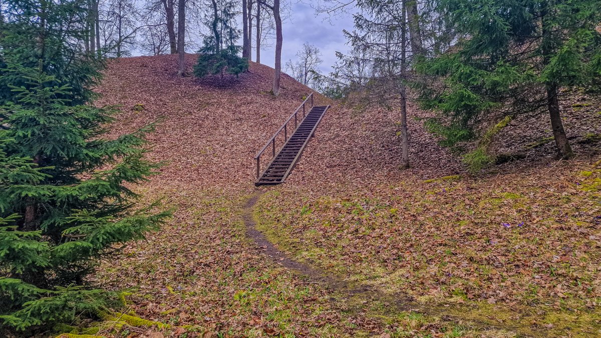 Naujasodžio (Mošos) piliakalnis