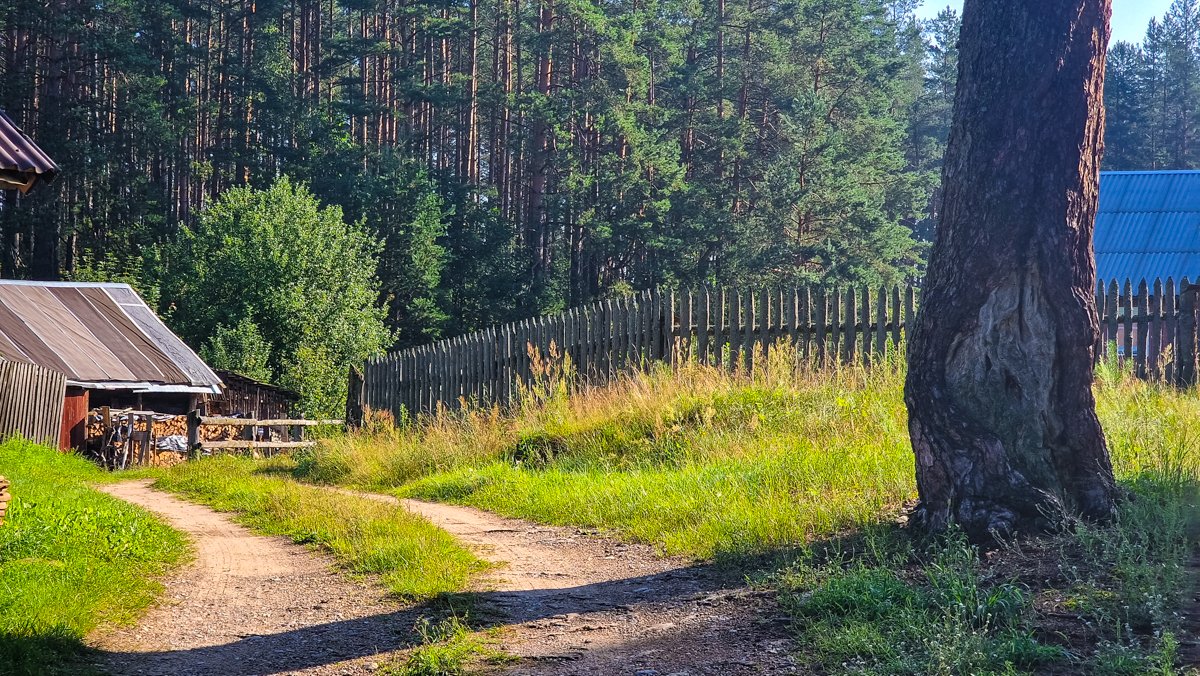 Zervynų pušys ir Zervynų tvoros