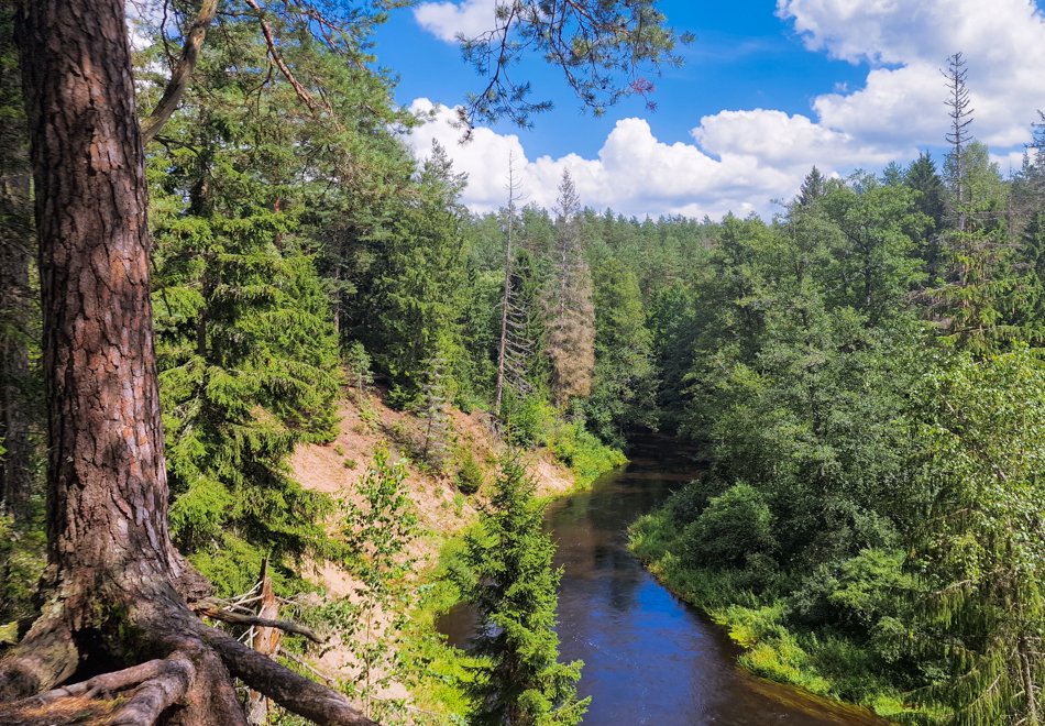 Mančiagirės skardžiai: Ūlos kanjonų stebuklas