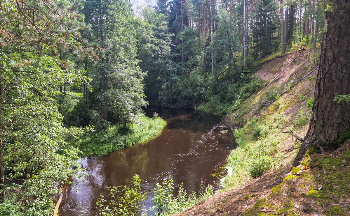 Mančiagirės skardžiai