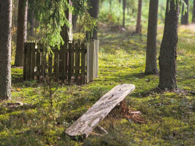 Šventos Aglės: atminties ir maldos vieta Dzūkijos glūdumoje