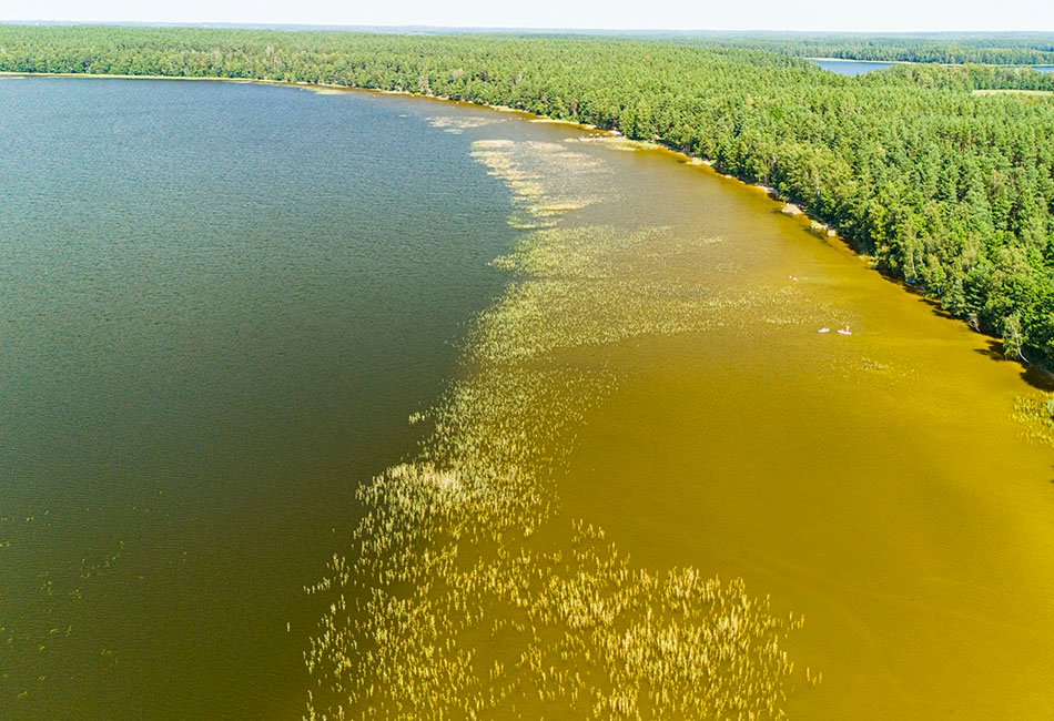 Kertuojai – vandens platybės prie senovės piliakalnio