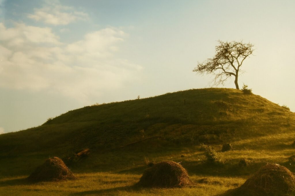 Žemės atmintis – tarp pelenų, sapnų ir padavimų