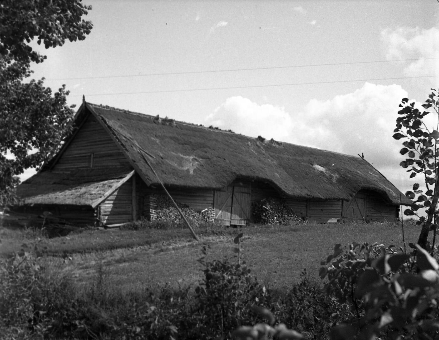 Kluonas ir jauja