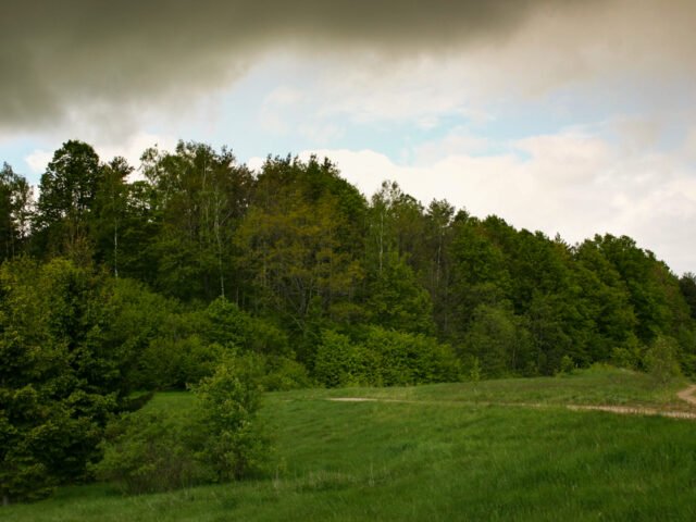 Papiliakalnių piliakalnis