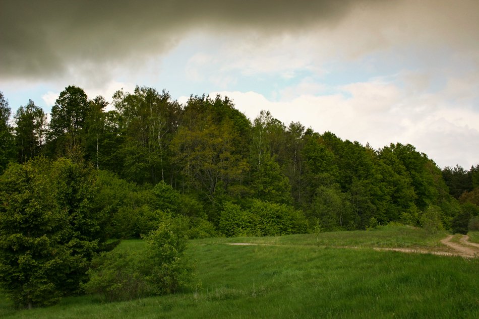 Papiliakalnio piliakalnis iš rytų pusės Autorius: Zenonas Baubonis Data: 2004 05 31 Šaltinis: Z.Baubonio asmeninis archyvas
